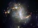 Rampant Star Formation in NGC 1313 