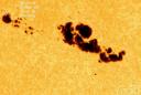 Another Sunspot