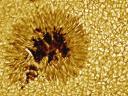 Close-up of a Sunspot