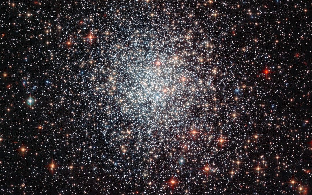 #755: Intermediate Mass Black Holes